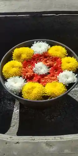 鹿島台神社の手水舎