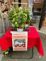 菊名神社(神奈川県)