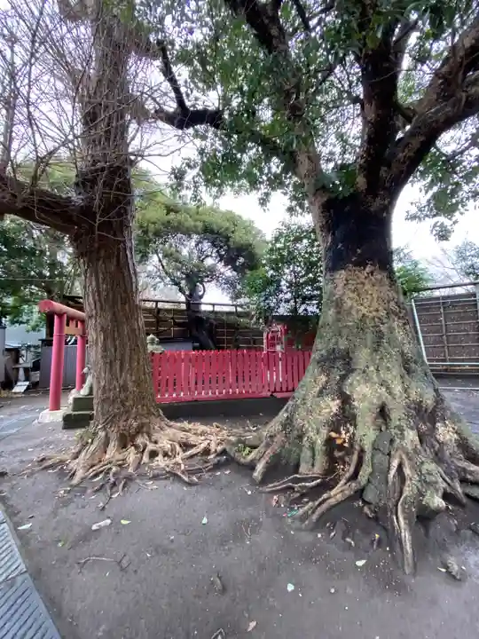 正一位稲荷大明神(築山稲荷社)の自然