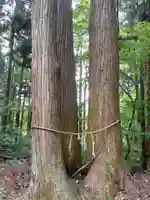 伊豆観音堂の自然