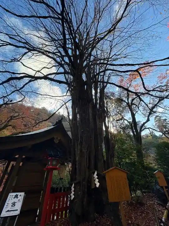 貴船神社(京都府)