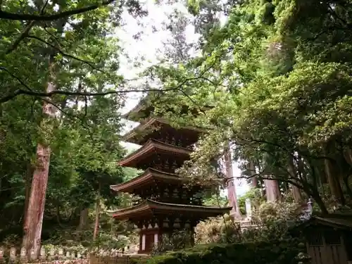 室生寺の塔