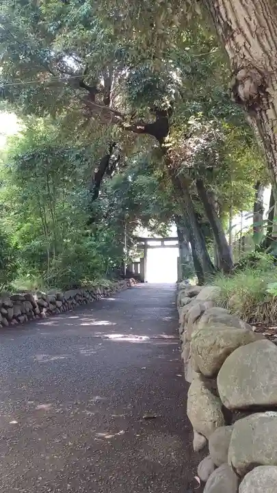 渋谷氷川神社(東京都)