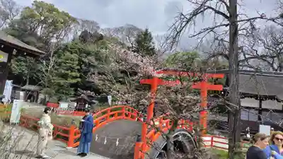 賀茂御祖神社（下鴨神社）の鳥居