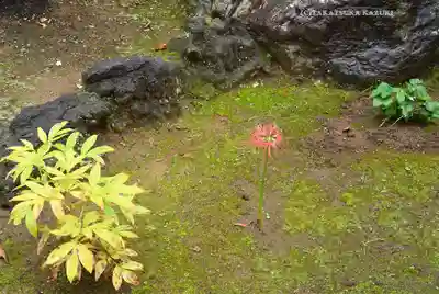 南蔵院(東京都)