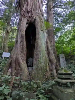 迦葉山龍華院弥勒護国寺(弥勒寺)の自然