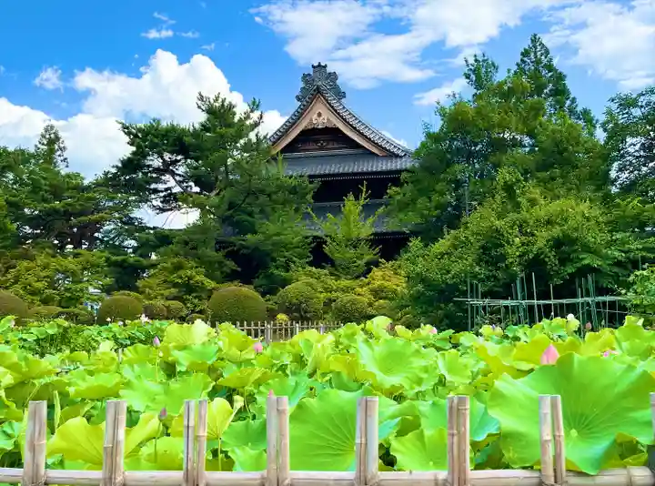 信濃國分寺(長野県)