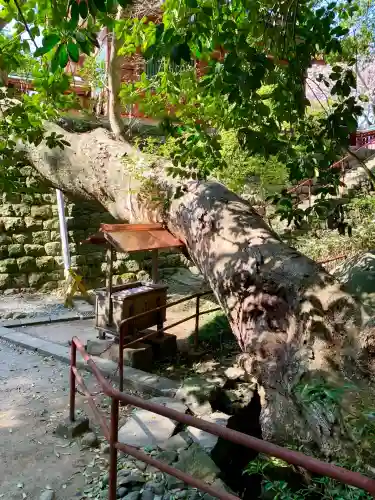 志波彦神社・鹽竈神社(宮城県)
