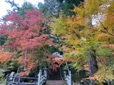高蔵寺(兵庫県)