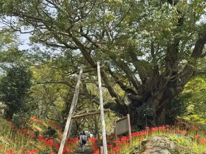 仏隆寺(奈良県)