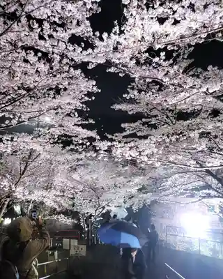 南法華寺（壷阪寺）(奈良県)
