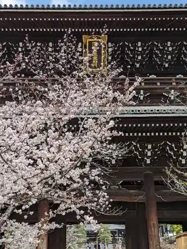 くろ谷 金戒光明寺(京都府)