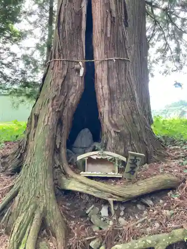 山家神社の建物その他