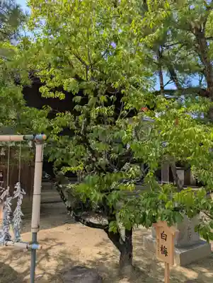 大元 宗忠神社(岡山県)