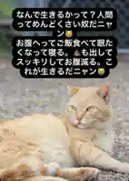 専念寺(大阪府)