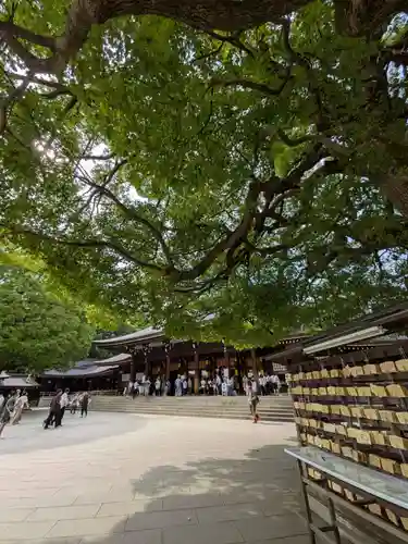 明治神宮(東京都)