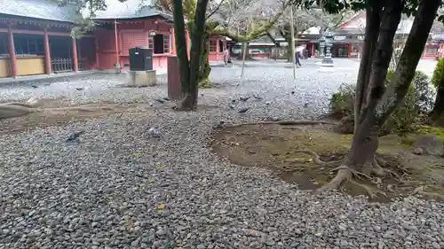 富士山本宮浅間大社(静岡県)