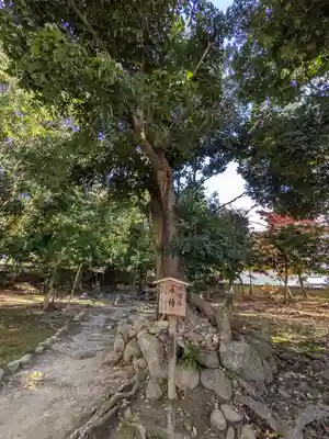 御坂神社(兵庫県)