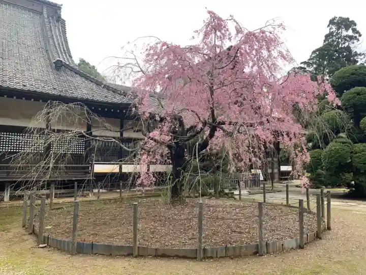 観福寺(千葉県)