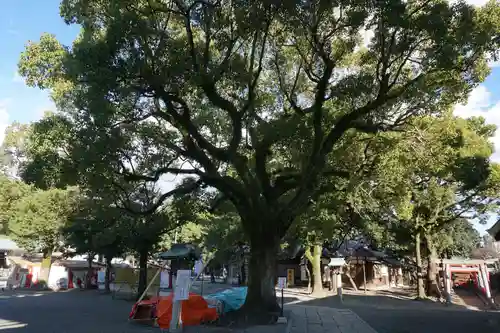 真清田神社の自然