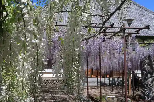 長泉寺の庭園