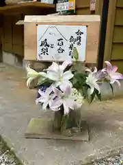 須山浅間神社(静岡県)