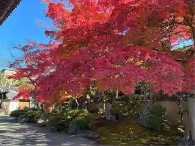 法観寺(京都府)