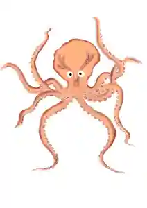 八乙女八幡神社(山形県)(2025年07月04日(金) 11時59分42秒投稿)