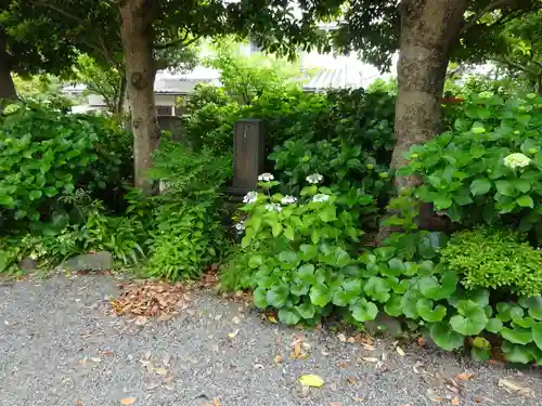 實相寺（実相寺）のその他建物