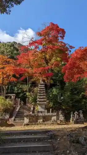 二尊院(京都府)