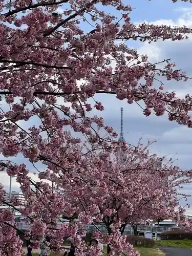 石濱神社の自然