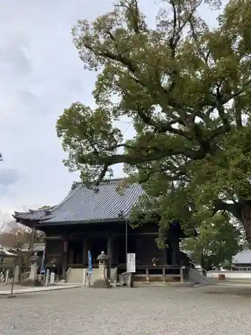 斑鳩寺の本殿・本堂