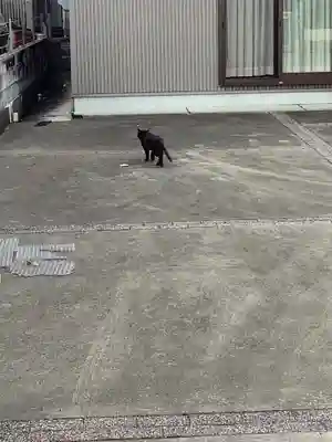 御井神社の周辺