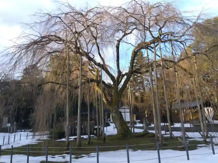 足羽神社(福井県)
