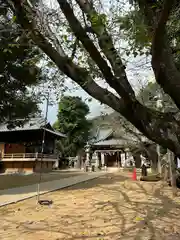 鶴峯八幡宮(茨城県)