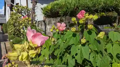 三會寺(京都府)