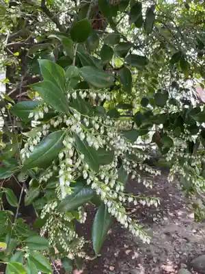 田縣神社(愛知県)