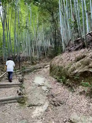 自玉手祭来酒解神社の周辺