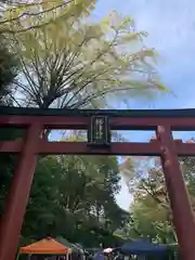 根津神社(東京都)