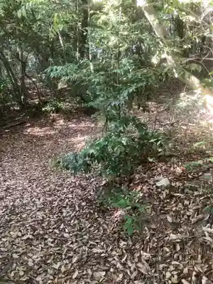 曽野稲荷神社の周辺