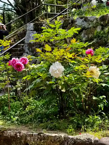 長谷寺(奈良県)