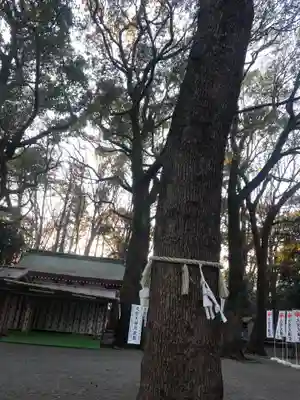 大宮八幡宮のその他建物