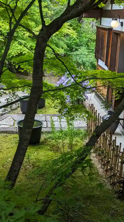 勝林寺(京都府)