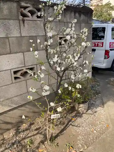 木場 洲﨑神社(東京都)