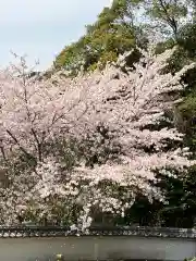 大山祇神社の自然