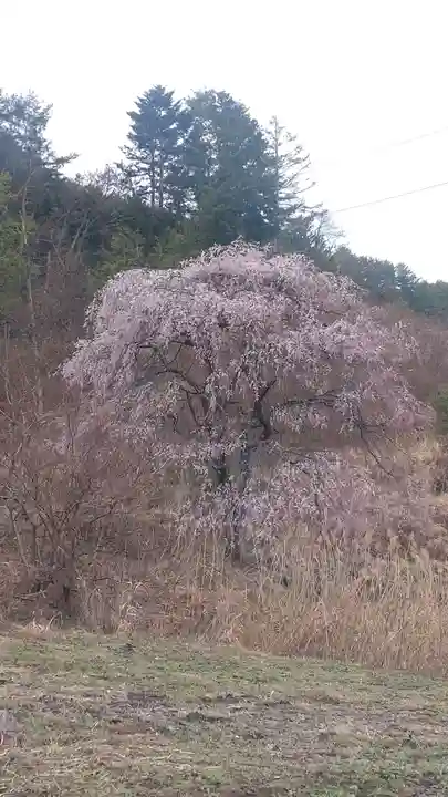 勝間薬師堂(長野県)
