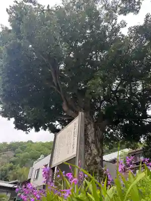 皷楽神社(山梨県)