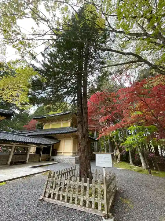 高野山霊寳館(和歌山県)