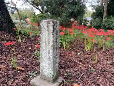 金蔵院(千葉県)