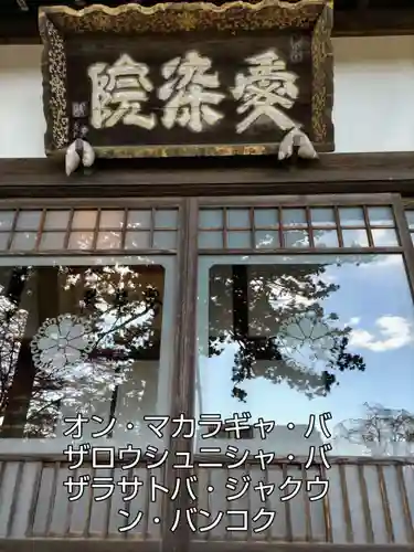 安楽寺の本殿・本堂
